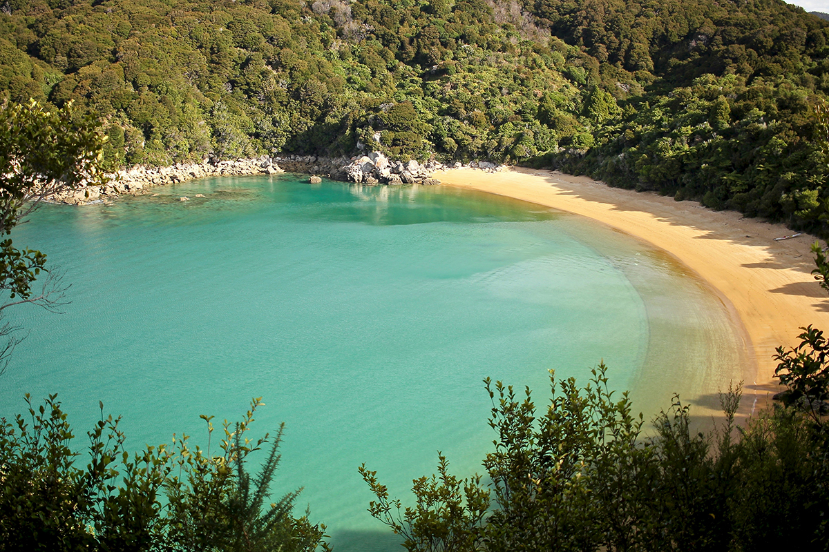 Golden sand and clear water at a beach in Abel Tasman National Park, Nelson–Tasman