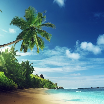 Sunny tropical island with beach