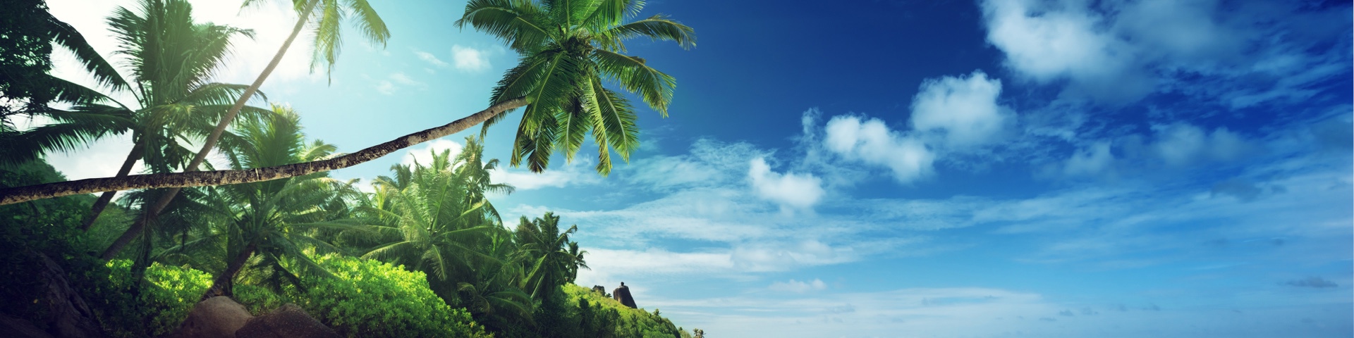 Sunny tropical island with beach