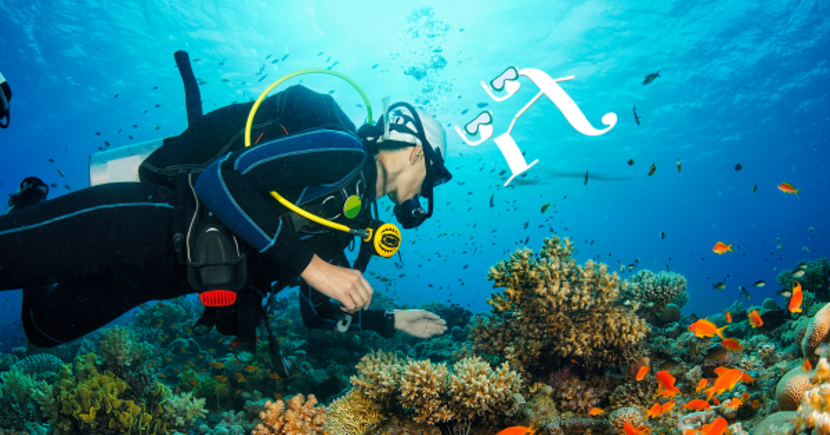 Things to Do in Rarotonga During Winter Holidays | Instant Finance