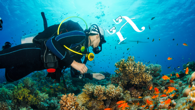 A scuba diver in the ocean with orange fishes