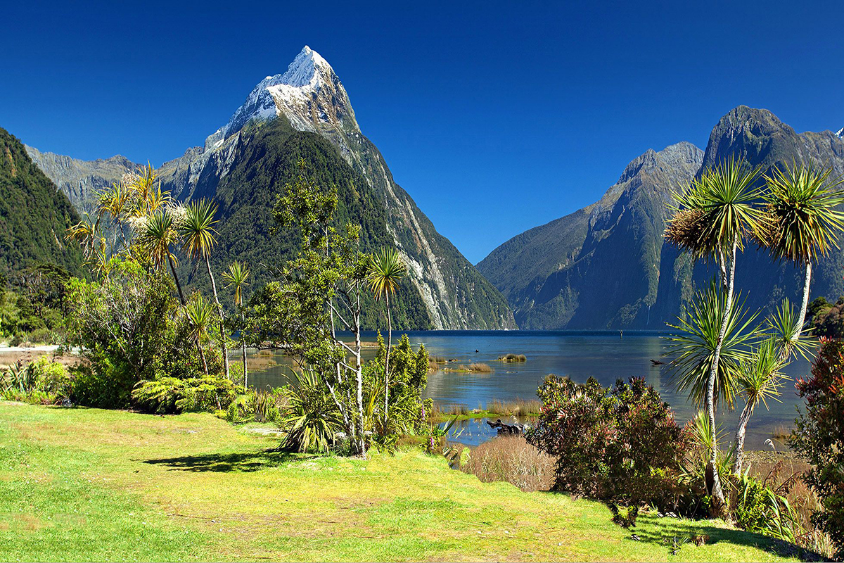 Mitre Peak rising above Milford Sound in Fiordland