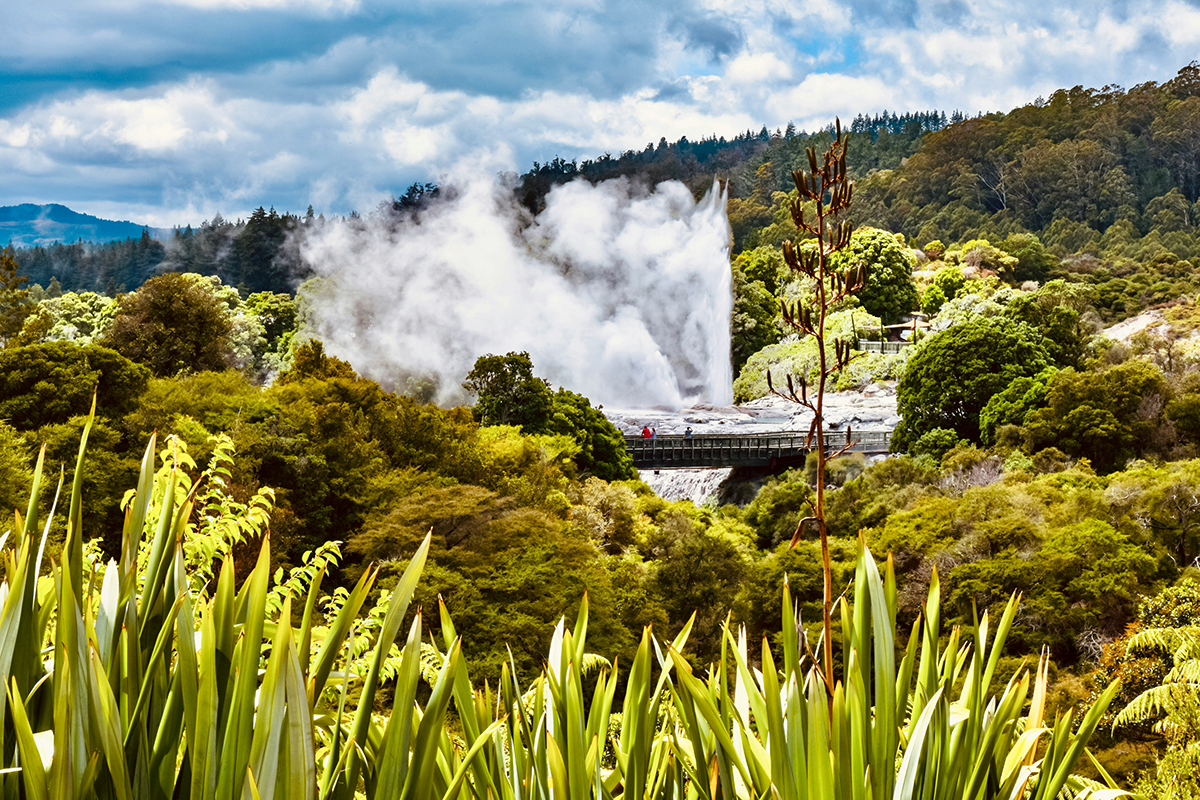 A bubbling geothermal mud pool in Rotorua