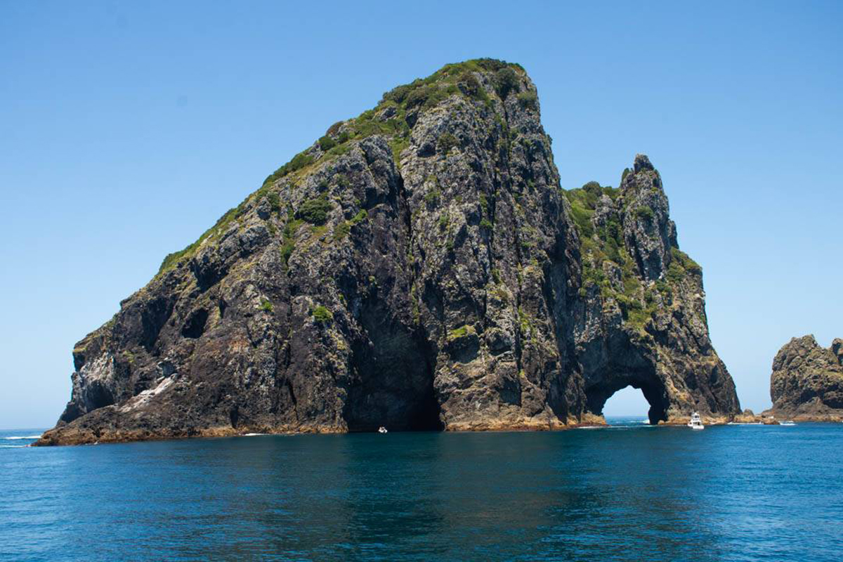 The Hole in the Rock on Motukōkako Island in the Bay of Islands